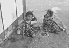 ���� ������ ��� ��� ����